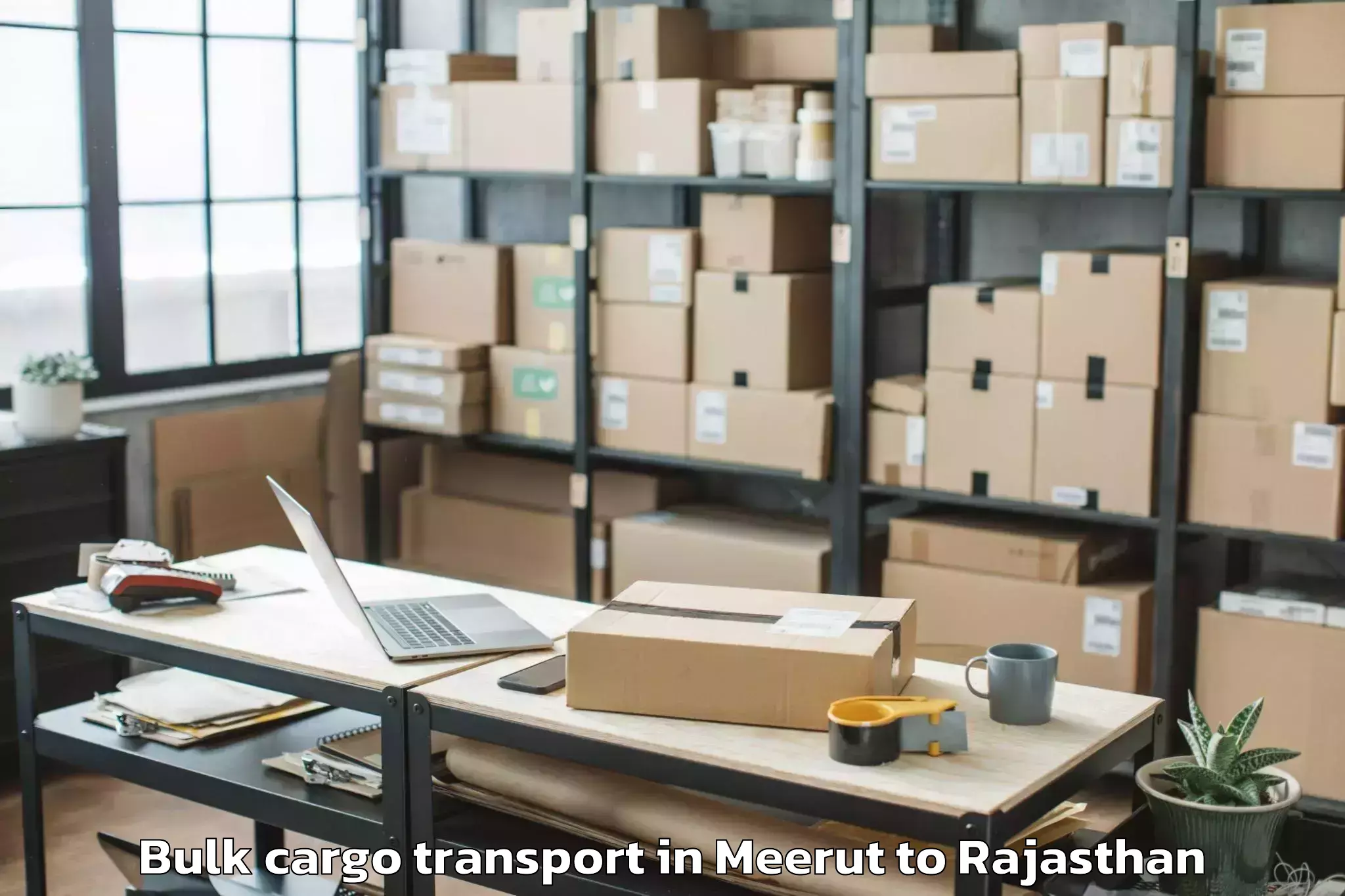 Book Meerut to Pindwara Bulk Cargo Transport Online